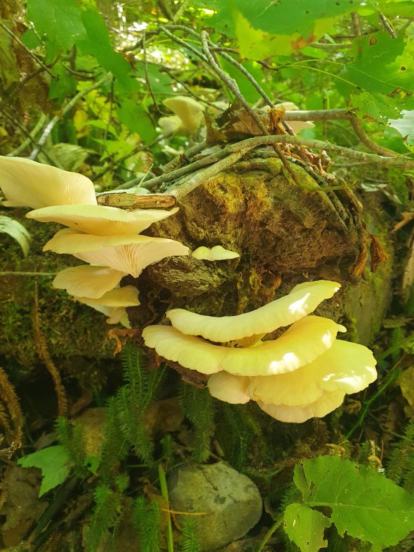 20260907_134856.jpg