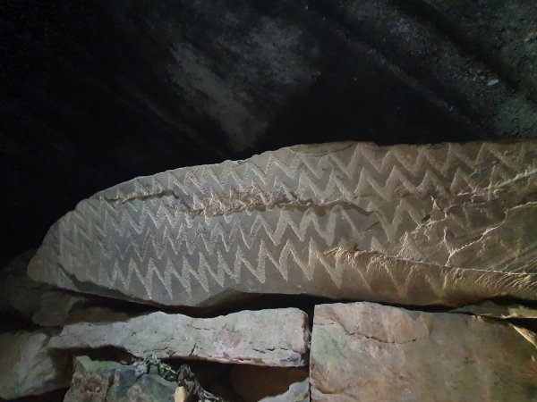 20260920_112820.jpg