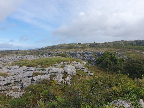 20260925_105911.jpg